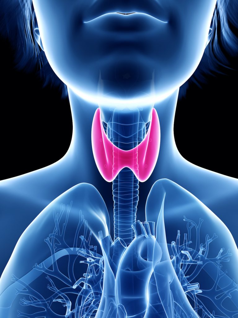 Types of Thyroid Diseases and How They Are Managed - University ...