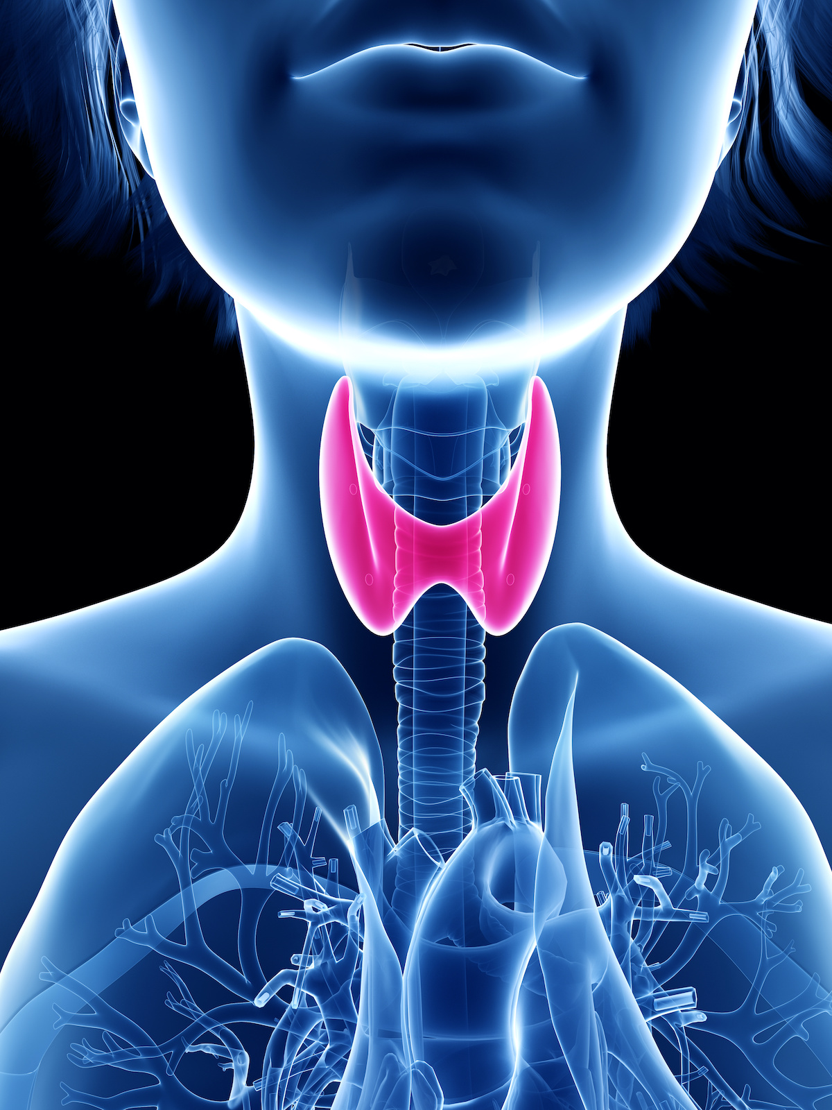 Types Of Thyroid Diseases And How They Are Managed University 